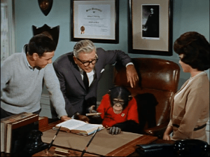 After figuring out the truth about Stanley's "kidnap," the three come to terms