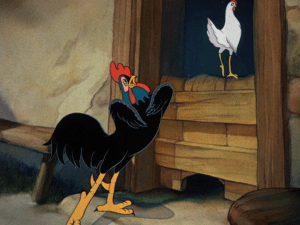 The rooster woos the hen with some serenading