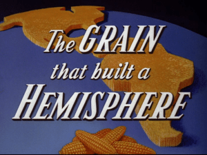 vlcsnap-2014-01-04-16h01m49s225