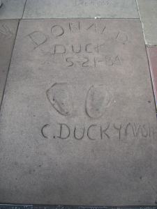 ClarenceNashfootprints