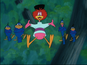 The Aracuan interrupts the hummingbirds song with a Russian-style dance