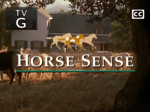 vlcsnap-2014-11-20-17h20m03s169