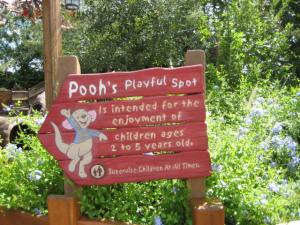 Pooh's Playful Spot