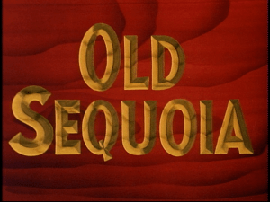 vlcsnap-2015-12-21-17h47m25s242