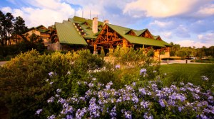 Wilderness Lodge